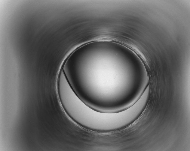 X0000095891484200801181215