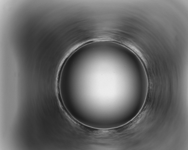 X0000095891485200801181215