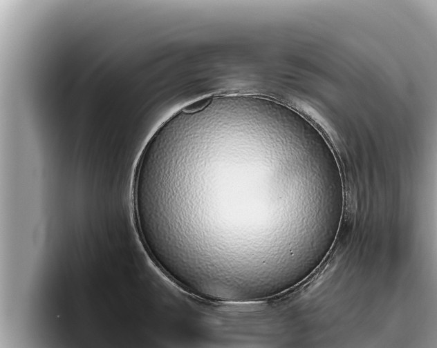 X0000095891487200801181215