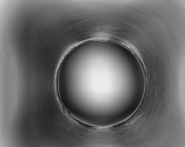 X0000095891488200801181215