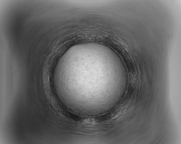 X0000095891489200801181215