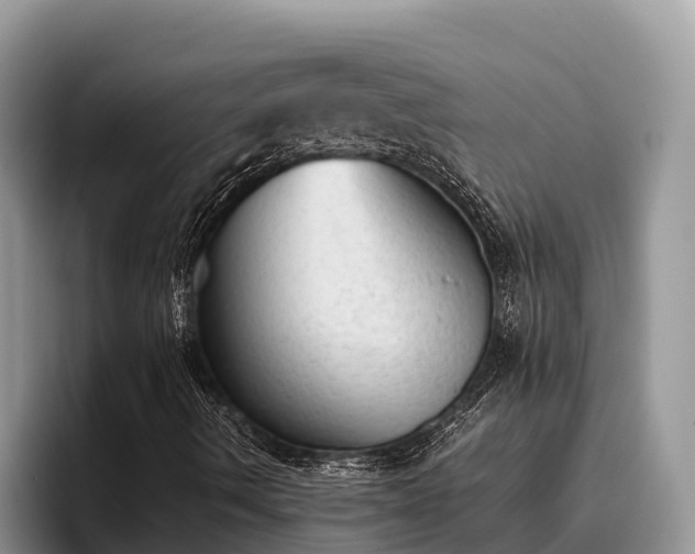 X0000095891490200801181215