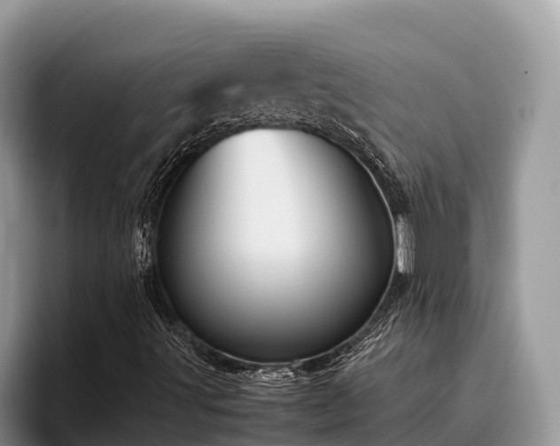 X0000095891491200801181215