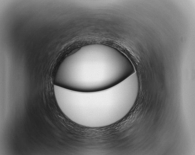 X0000095891492200801181215