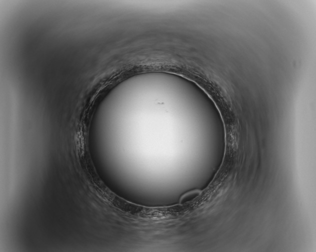 X0000095891493200801181215