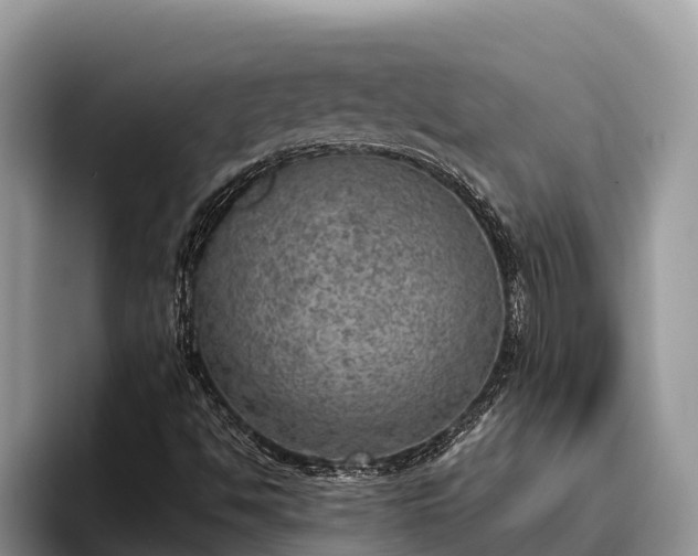 X0000095891494200801181215