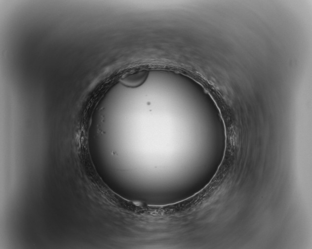 X0000095891495200801181215
