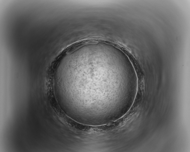 X0000095891496200801181215