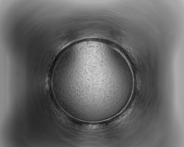 X0000095891497200801181215