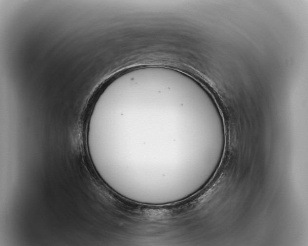 X0000095891498200801181215