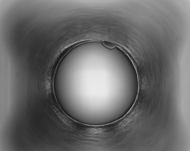X0000095891499200801181215
