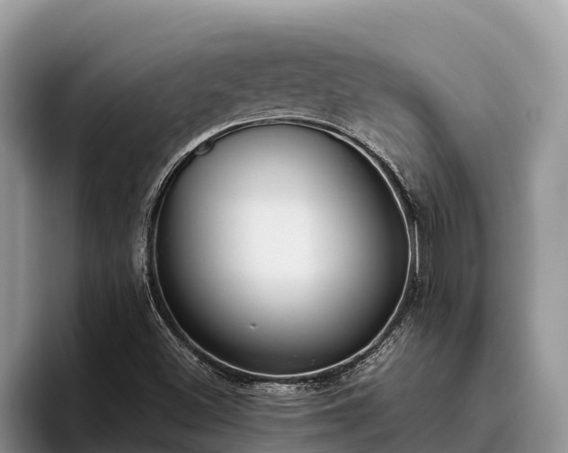 X0000095891500200801181215