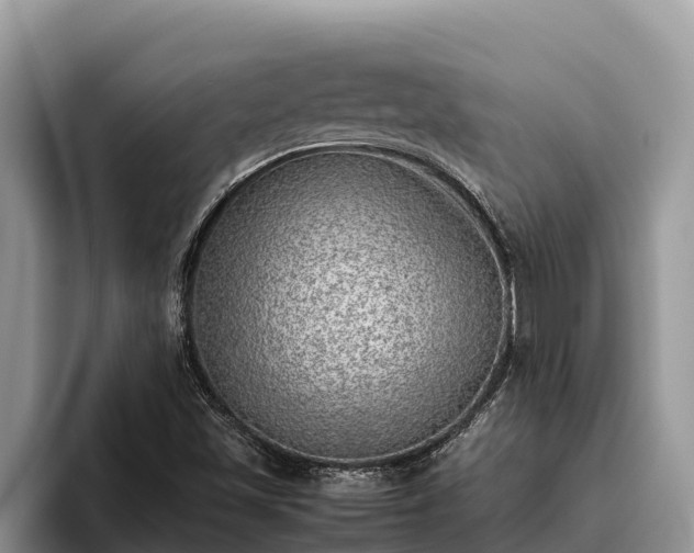 X0000095891501200801181215