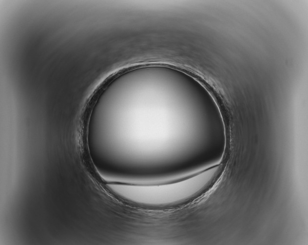 X0000095891502200801181215