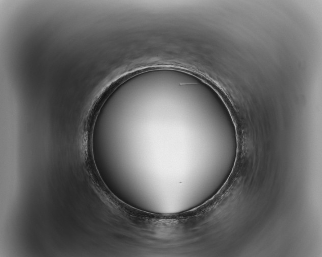 X0000095891503200801181215