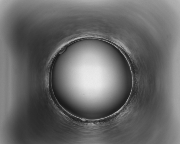 X0000095891504200801181215