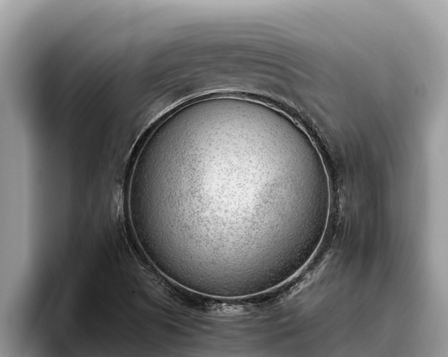 X0000095891505200801181215
