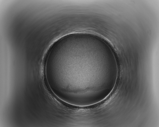 X0000095891506200801181215