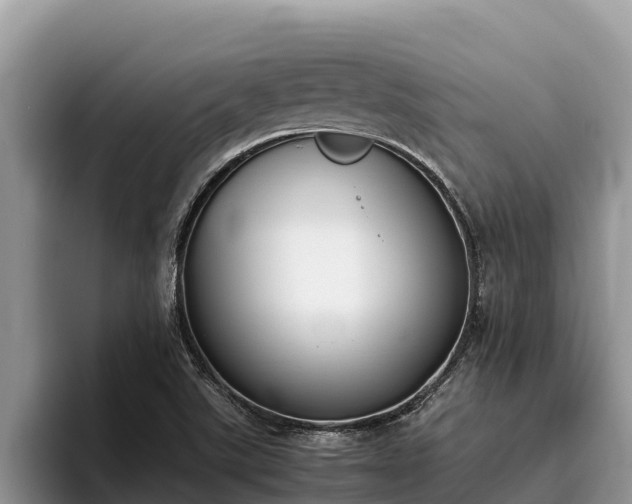 X0000095891507200801181215