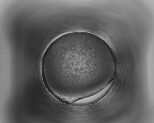 X0000095891508200801181215