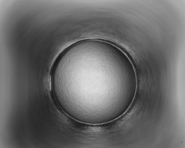 X0000095891509200801181215