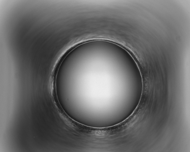 X0000095891511200801181215