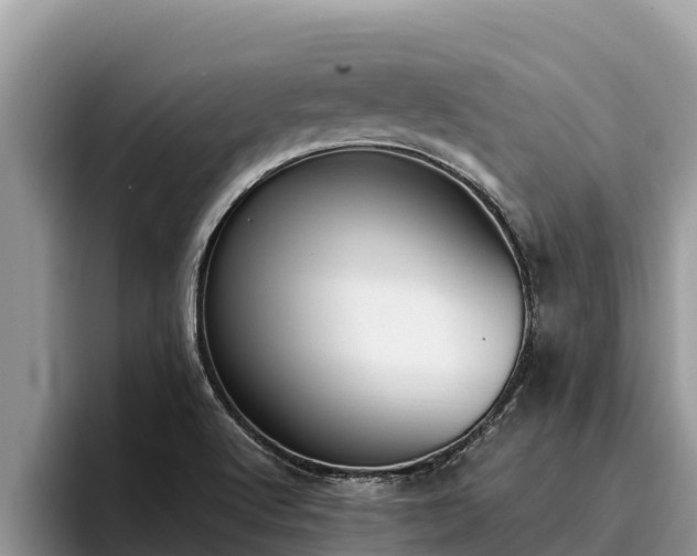 X0000095891512200801181215