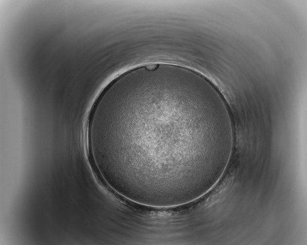 X0000095891515200801181215
