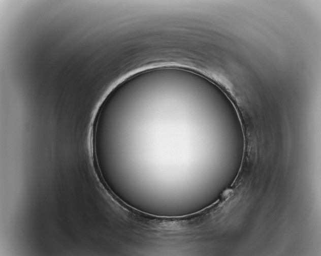 X0000095891516200801181215