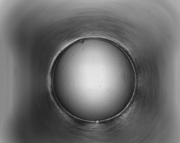 X0000095891517200801181215