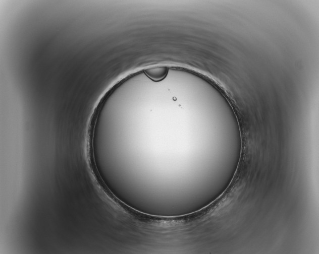 X0000095891518200801181215