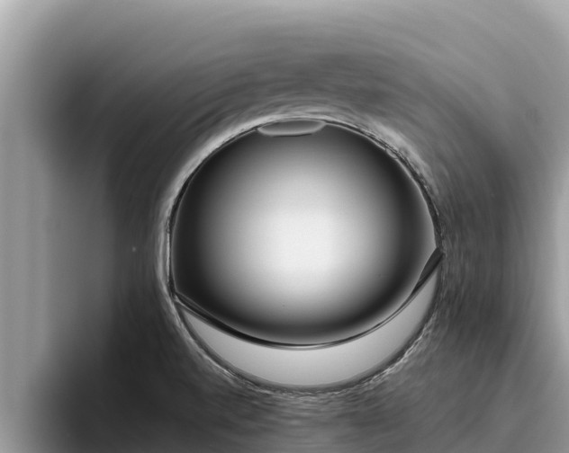 X0000095891520200801181215