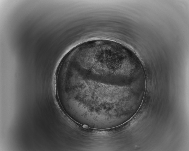 X0000095891522200801181215