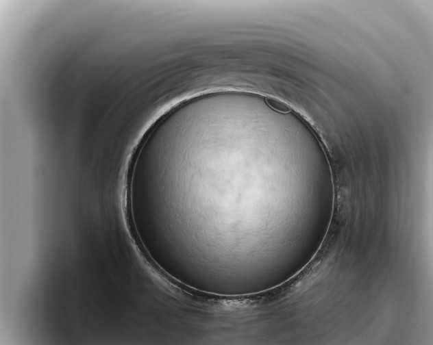 X0000095891523200801181215