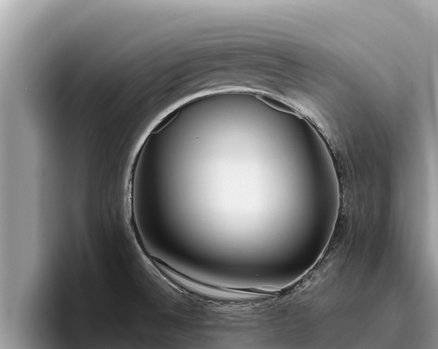 X0000095891524200801181215