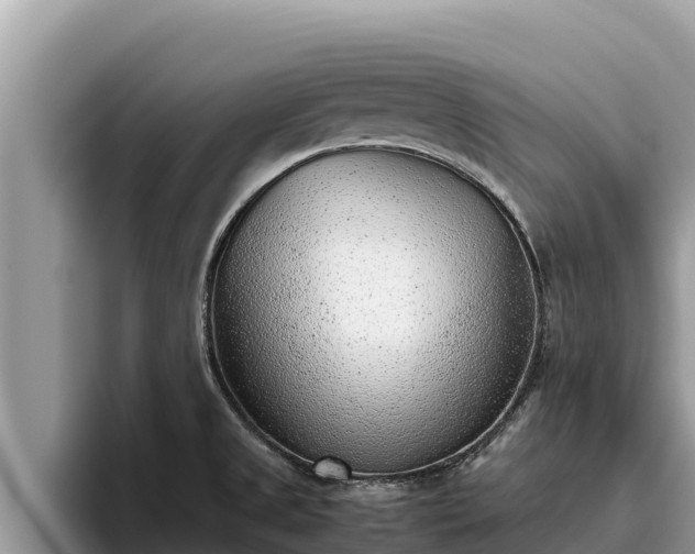 X0000095891525200801181215