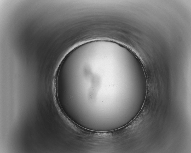 X0000095891526200801181215