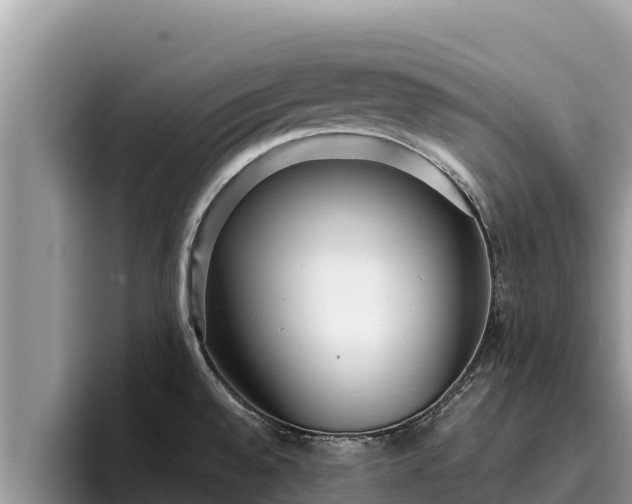 X0000095891528200801181215
