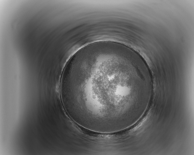 X0000095891529200801181215