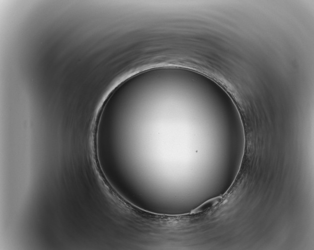 X0000095891530200801181215