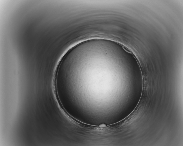 X0000095891531200801181215
