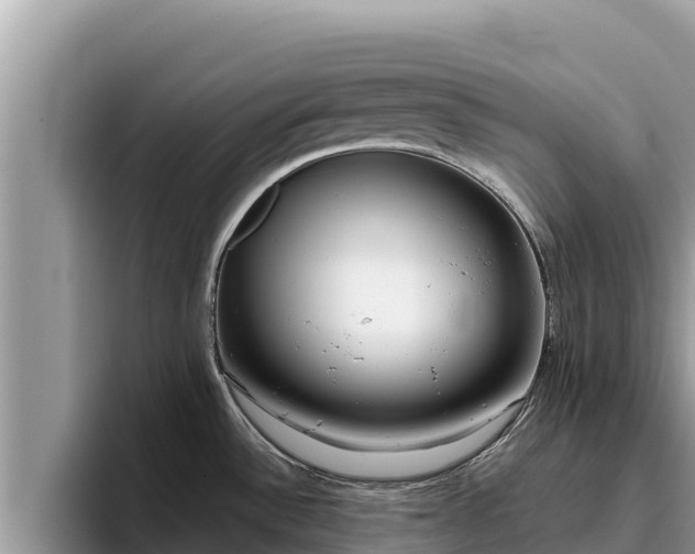 X0000095891532200801181215