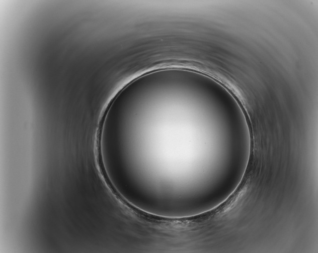 X0000095891533200801181215