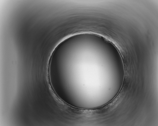X0000095891534200801181215