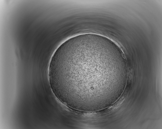 X0000095891535200801181215