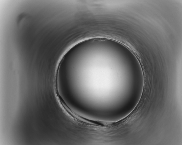 X0000095891536200801181215