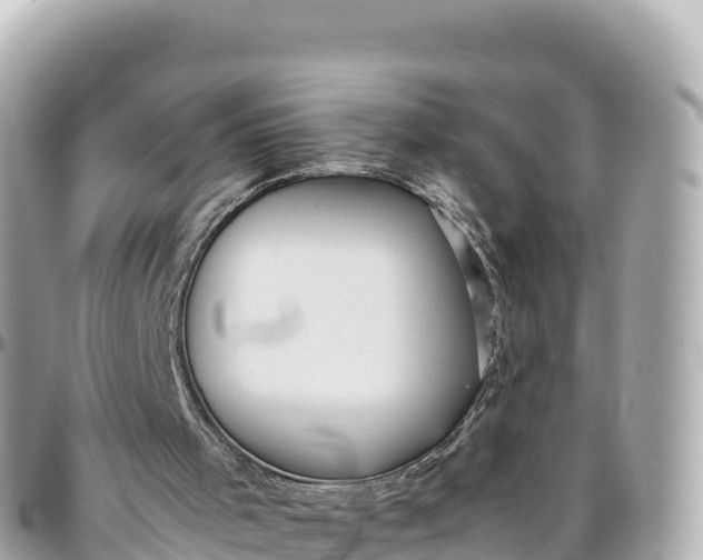 X0000095890001200801251213