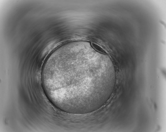 X0000095890002200801251213