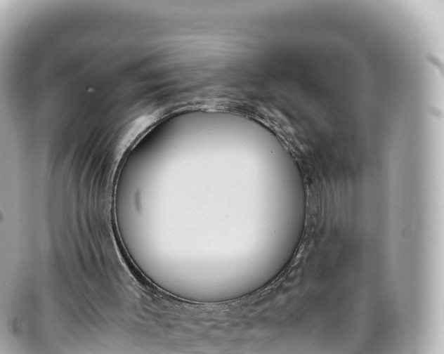 X0000095890003200801251213