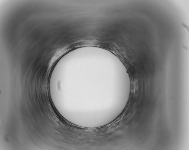 X0000095890004200801251213